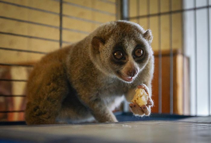 Кадр из сериала Динозавр 2 сезон кадр Динозавр 2 сезон 6