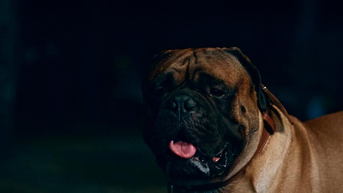 кадр Джек и Лондон 10