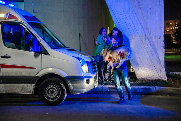 кадр Катя и Блэк 5