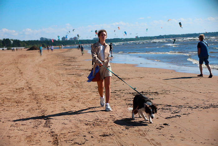 Кадр из сериала Каждому по заслугам кадр Каждому по заслугам 2