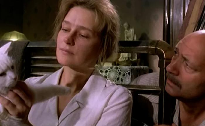 Кадр из сериала Казус Кукоцкого кадр Казус Кукоцкого 11