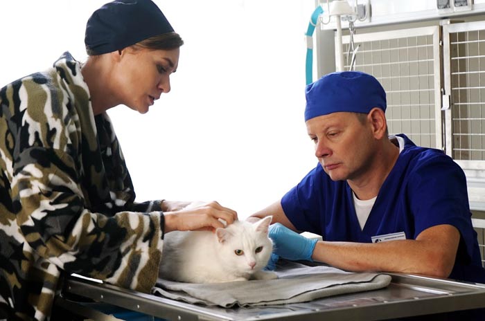 Кадр из сериала Котейка кадр Котейка 7