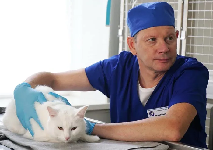 кадр Котейка 13
