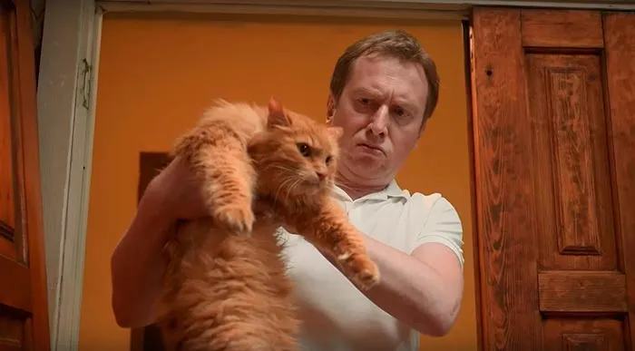 Кадр из сериала Котострофа кадр Котострофа 3