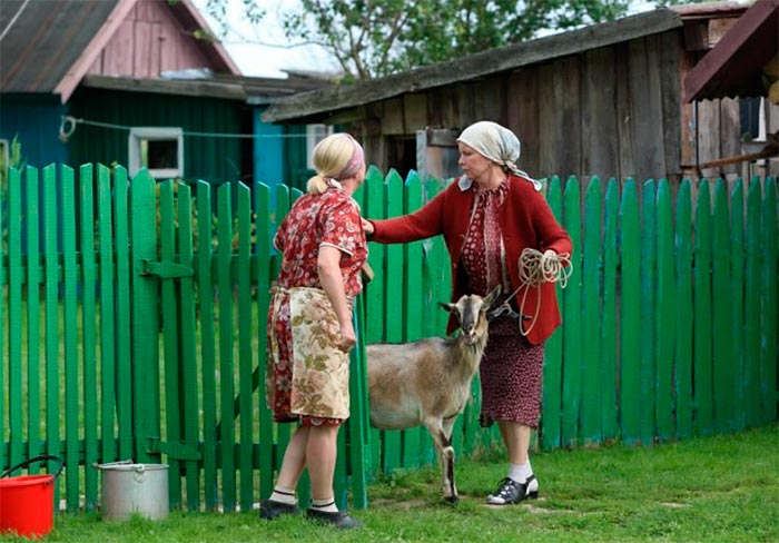 Кадр из сериала Любовь - не картошка кадр Любовь - не картошка 10