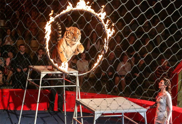 кадр Маргарита Назарова 9