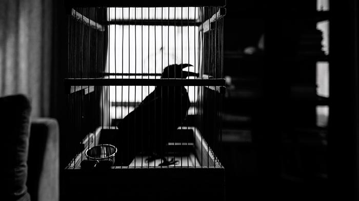 кадр Маски 6