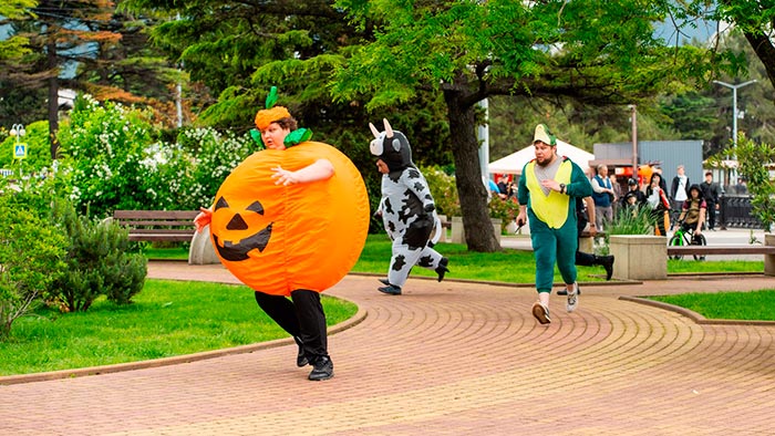 Кадр из сериала Майор и Меймун кадр Майор и Меймун 5