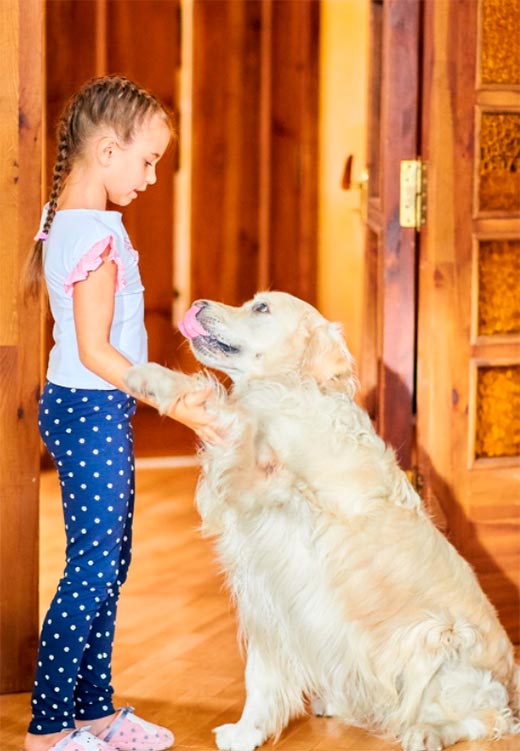 Кадр из сериала Много ненастных дней кадр Много ненастных дней 5