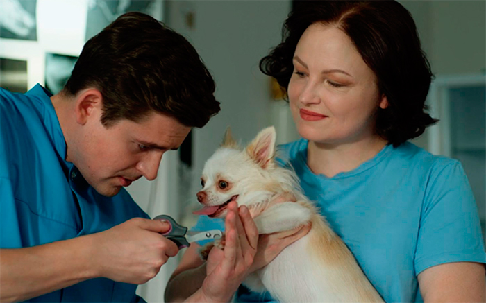Кадр из сериала Мои звери 2 сезон кадр Мои звери 2 сезон 2