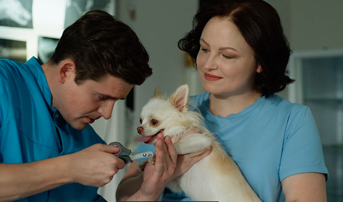 Кадр из сериала Мои звери кадр Мои звери 3