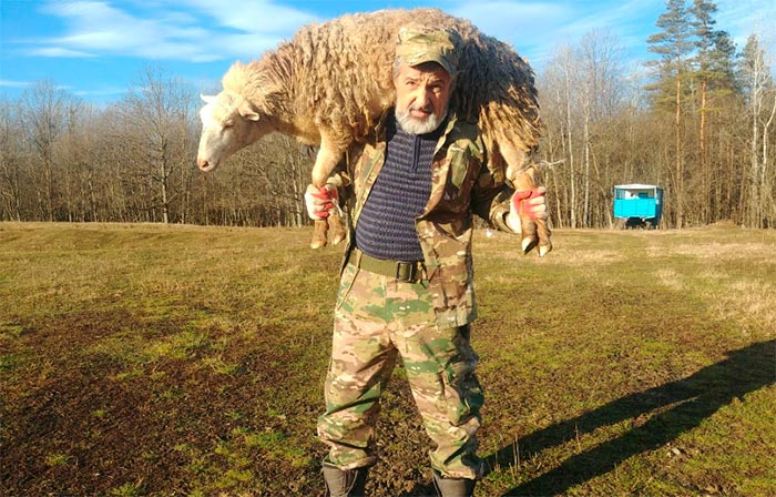 кадр Мститель. Страшный лес 9