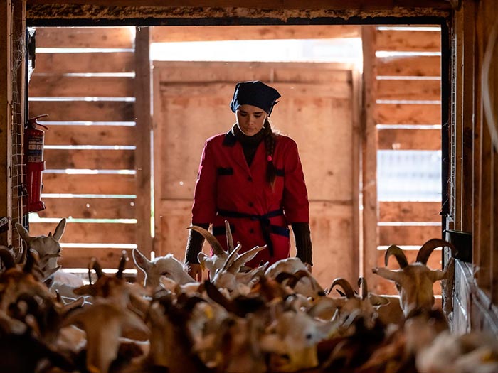 Кадр из сериала На работу! кадр На работу! 10