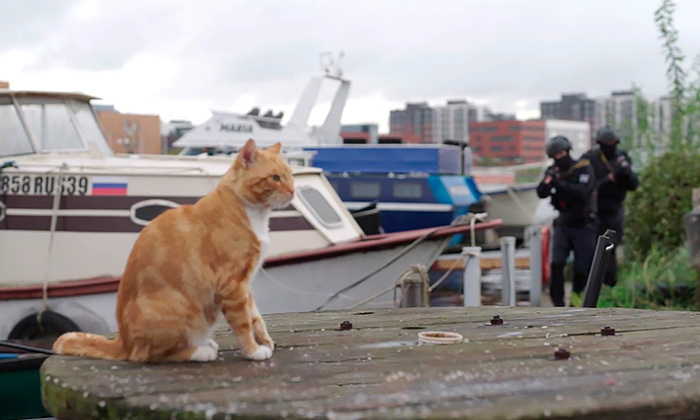 Кадр из сериала Наш спецназ. Калининград кадр Наш спецназ. Калининград 10