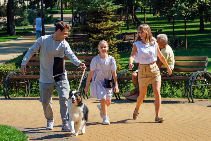 Кадр из сериала Непрекрасная леди кадр Непрекрасная леди 11