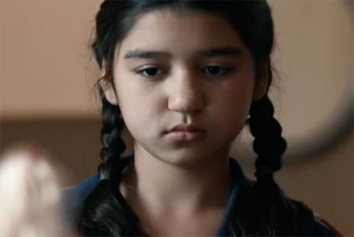 кадр Перелётные птицы 8