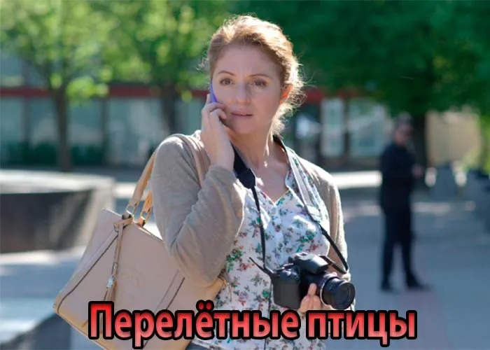 Кадр из сериала Перелетные птицы постер Перелетные птицы