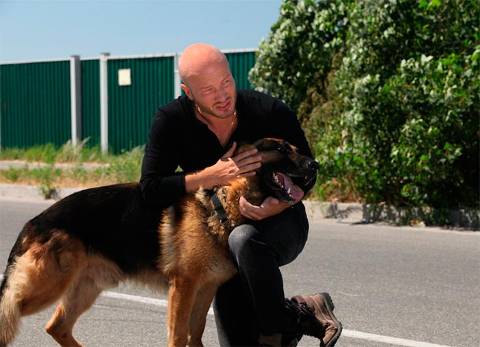 кадр Пёс 2 сезон 5