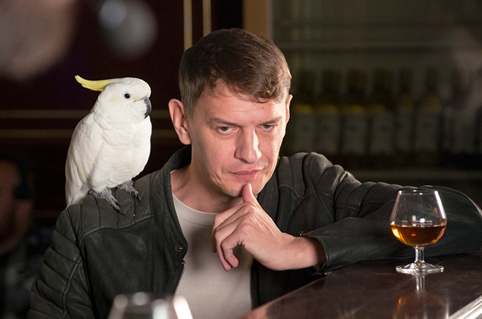 кадр Пират 2