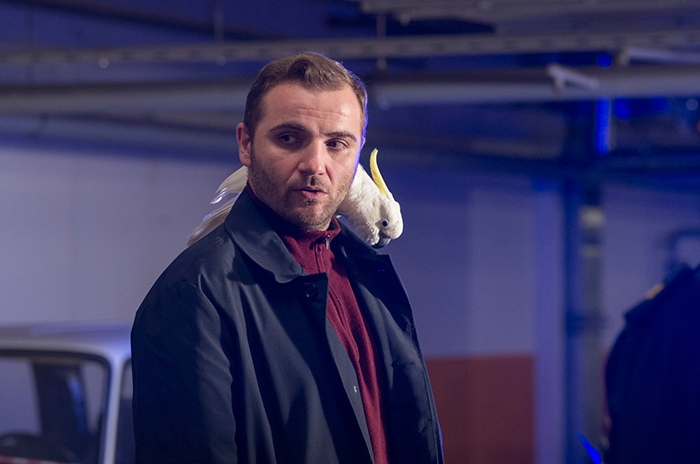 кадр Пират 5