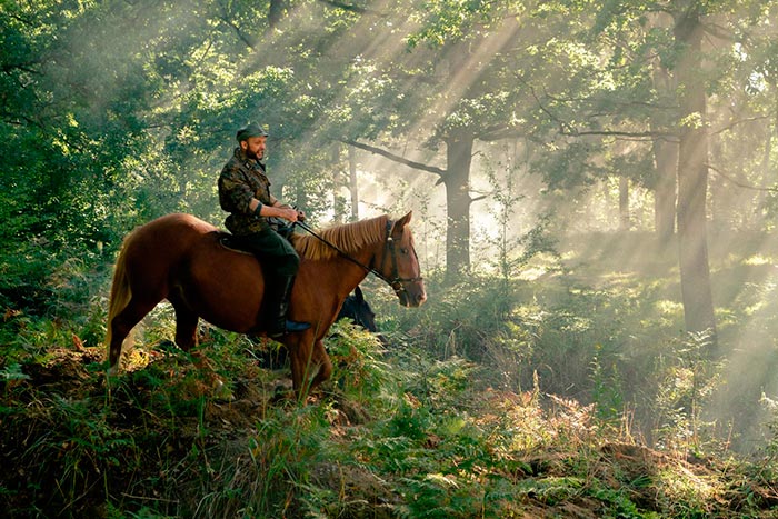 Кадр из сериала По законам военного времени 7 сезон кадр По законам военного времени 7 сезон 9