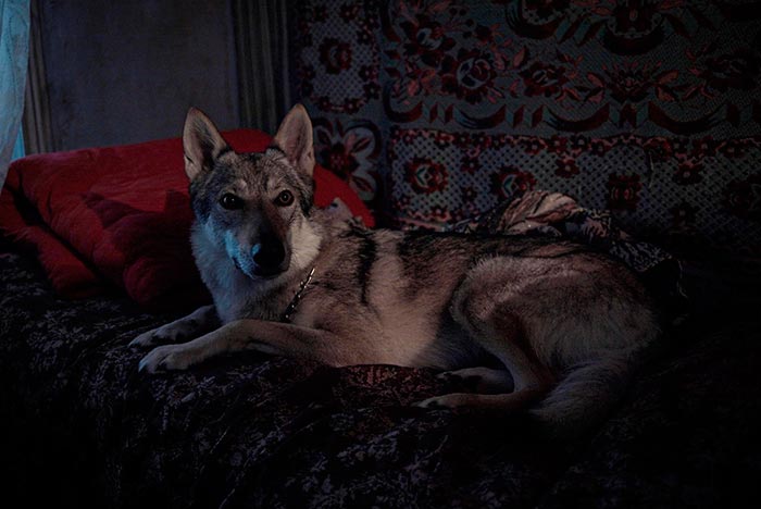 Кадр из фильма Подельники кадр Подельники 6