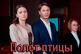 Полёт птицы