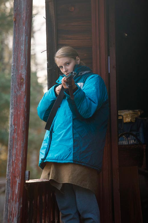 кадр Полевых цветов букет 5