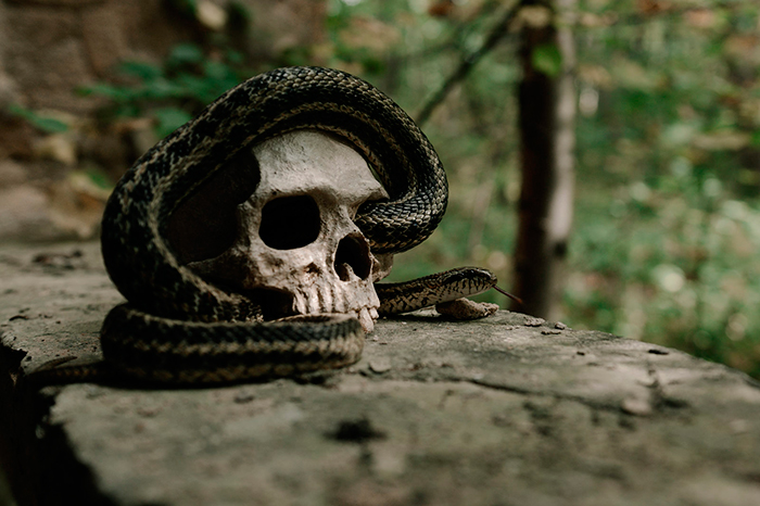 кадр После Фишера. Инквизитор 10