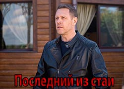Последний из стаи