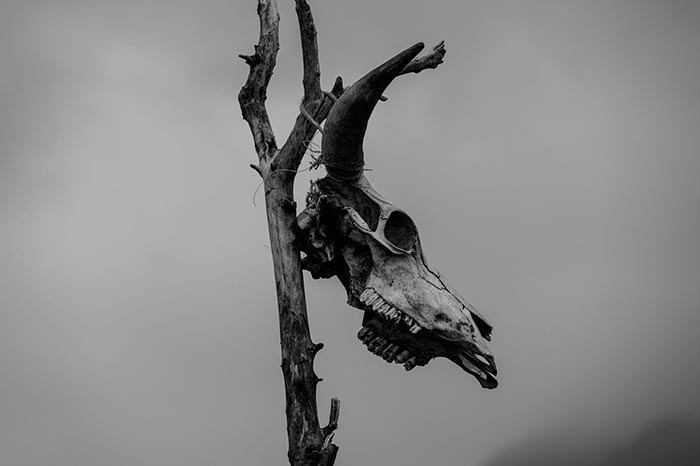 Кадр из сериала Шаман кадр Шаман 8