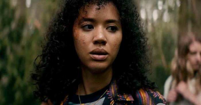 кадр Шершни 5