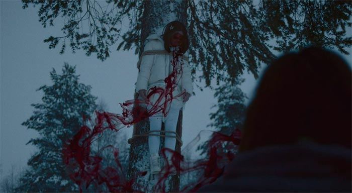 кадр Сны Алисы 3