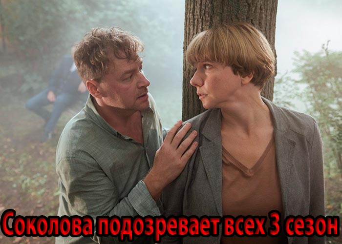постер Соколова подозревает всех 3 сезон