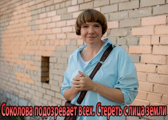 Кадр из сериала Соколова подозревает всех. Стереть с лица земли постер Соколова подозревает всех. Стереть с лица земли