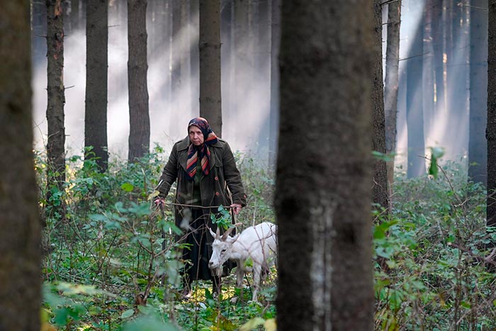 кадр Старая развалина 8