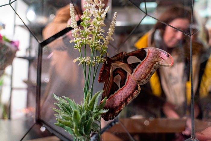 кадр Стой! Не то мама будет гадать 4