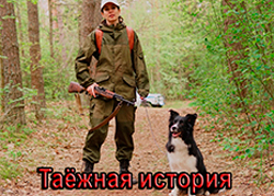 Таёжная история
