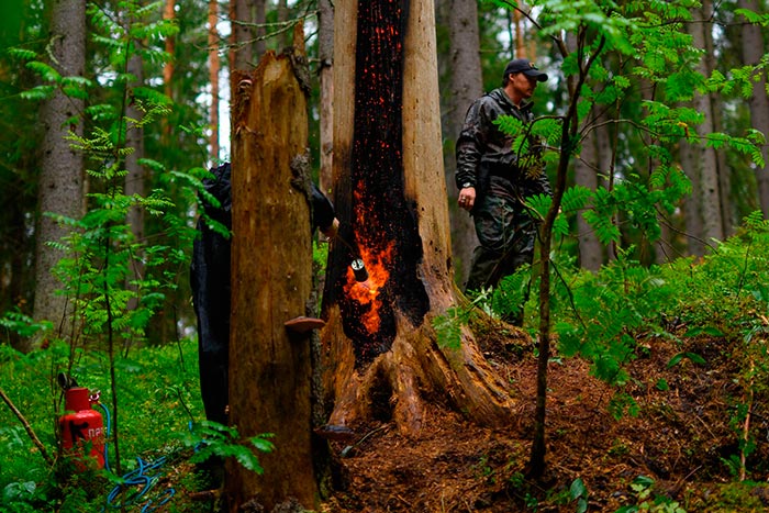 Кадр из сериала Тайга кадр Тайга 9