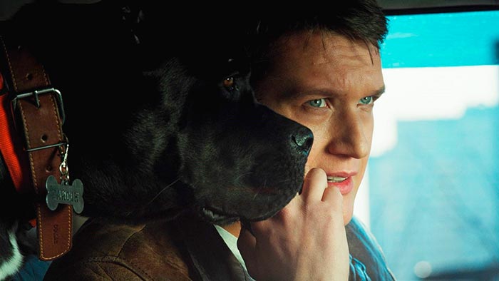 Кадр из сериала Тайсон кадр Тайсон 2