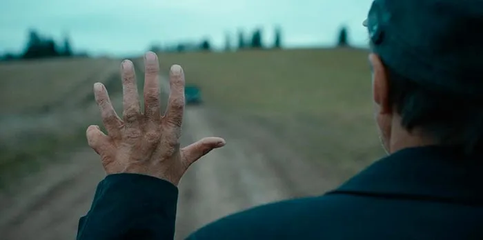 Кадр из сериала Территория кадр Территория 9