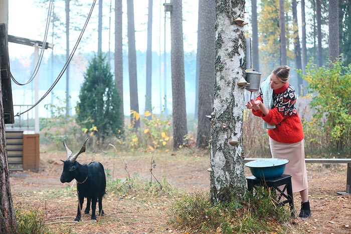 кадр Ваша тётя Люси 4