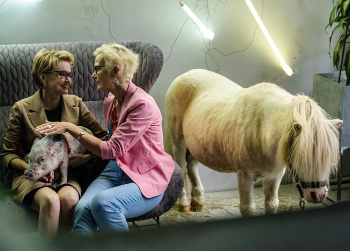 Кадр из сериала Кристина кадр Кристина 12