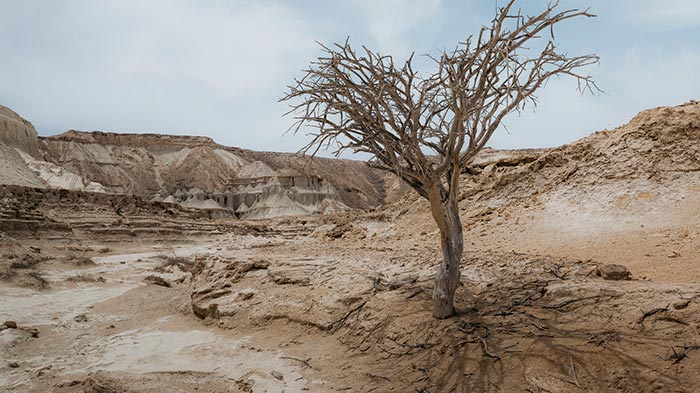 кадр Трудно быть богом 7