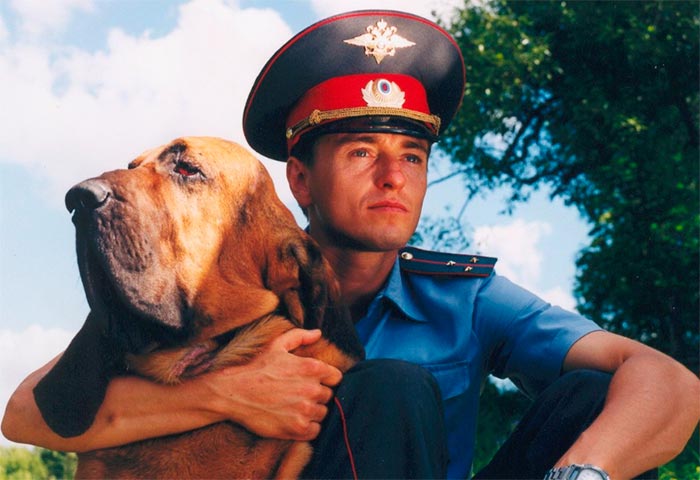 кадр Участок 2