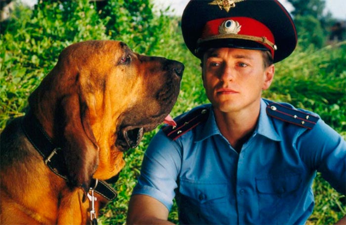 кадр Участок 4