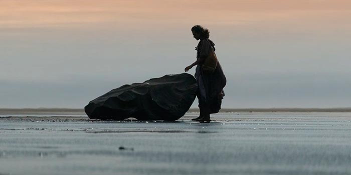 кадр Ведьмак: Происхождение 6