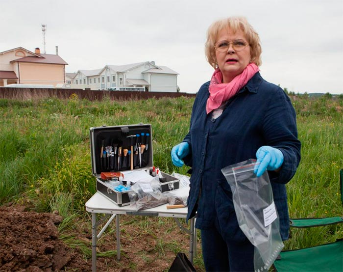 кадр Версия 8