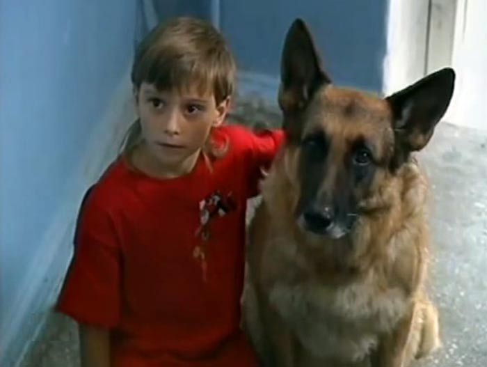 кадр Возвращение Мухтара 2 9