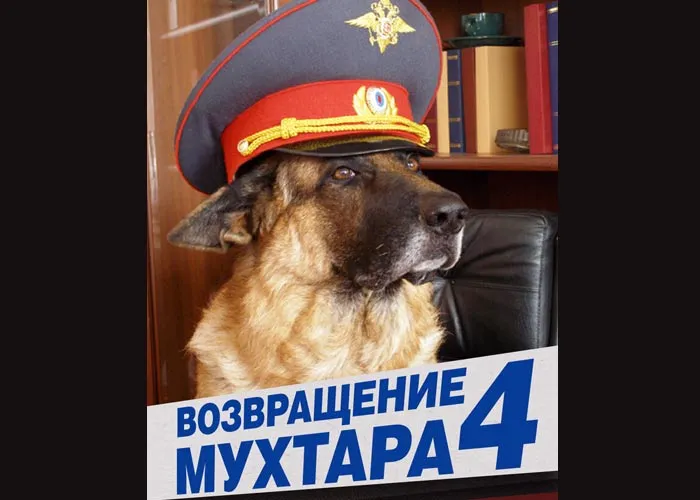 Кадр из сериала Возвращение Мухтара 4 постер Возвращение Мухтара 4